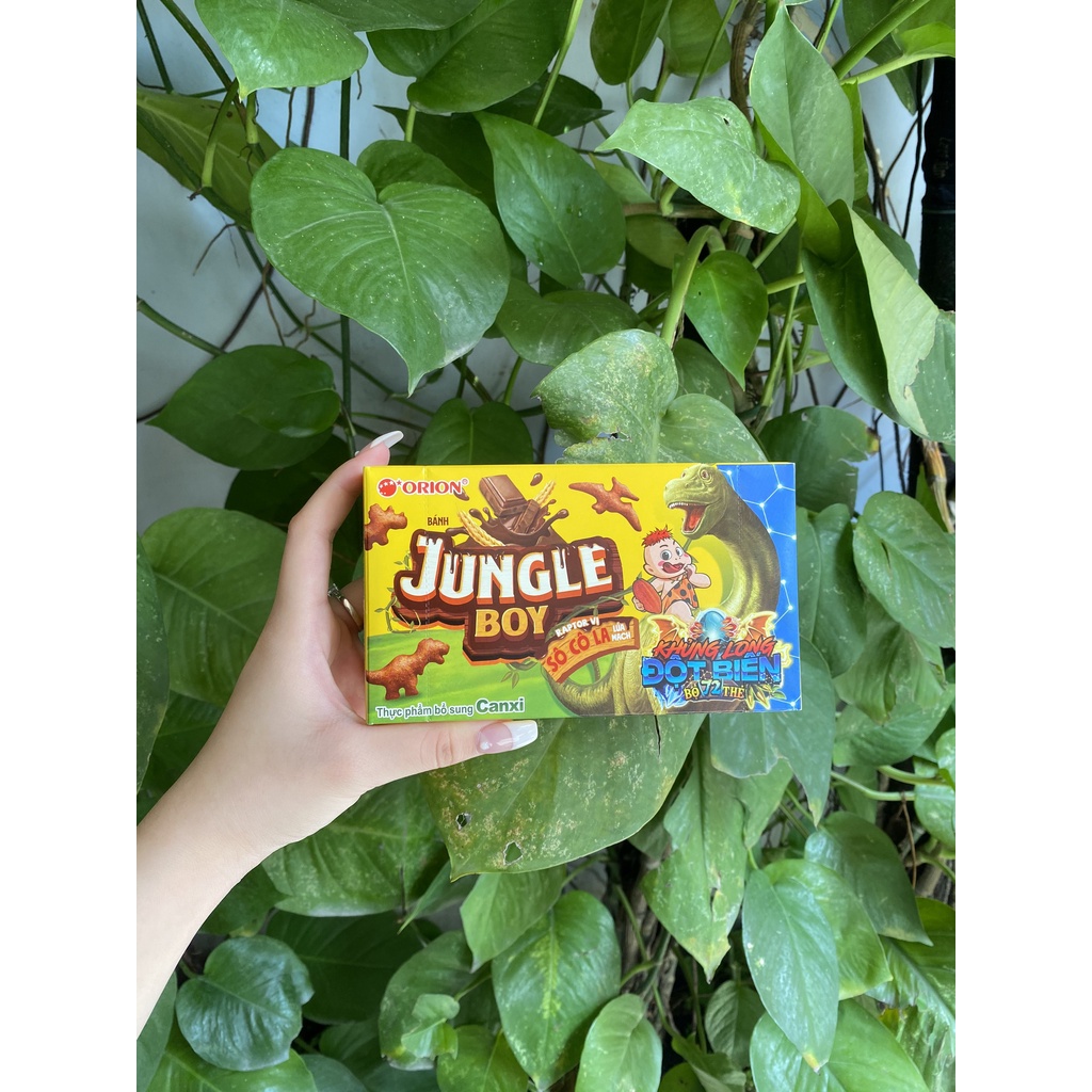 Bánh Cá Jungle Boy Orion Raptor Vị Socola Lúa Mạch (Hộp 40g)