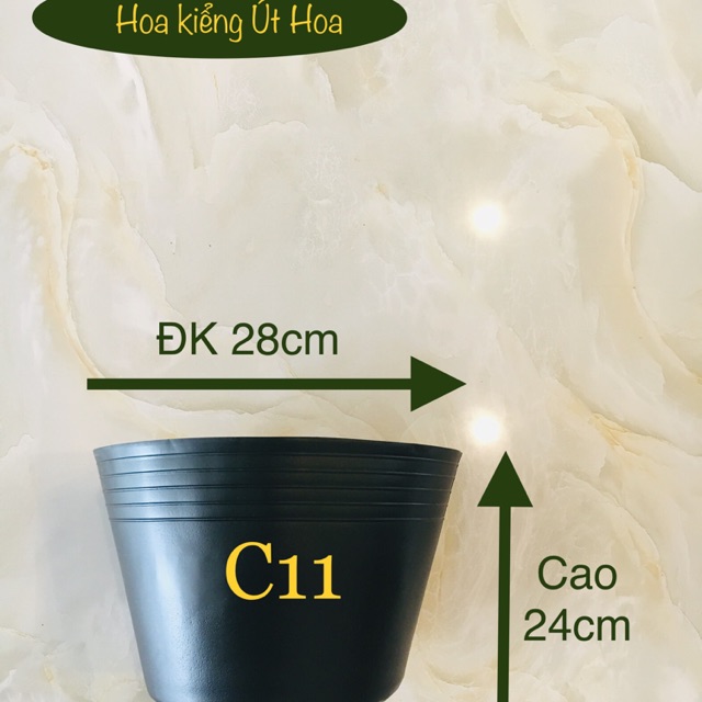 Combo chậu và hạt giống