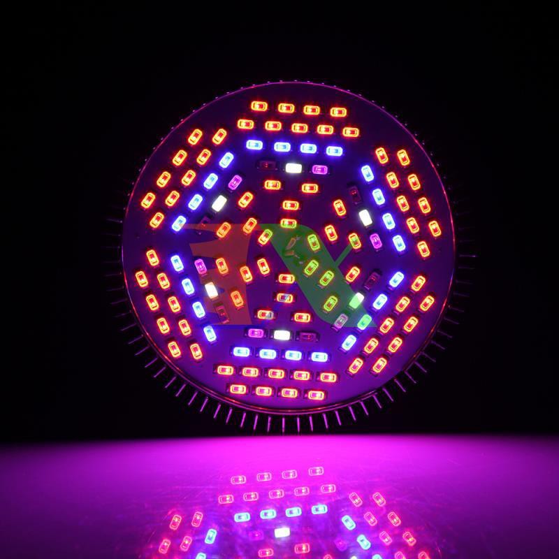 Đèn Led trồng cây, Đèn led trồng rau trong nhà