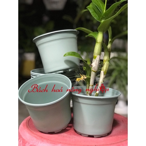 Combo 20 chậu nhựa mềm trồng cây size 15 cm