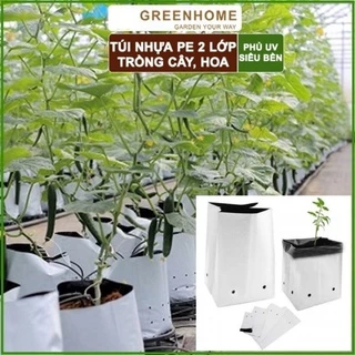 Chậu trồng cây túi trồng cây rau hoa dưa lưới dâu tây nilon 2 lớp đen trắng dày bóng đẹp dai bền 1,5 năm chống tia UV