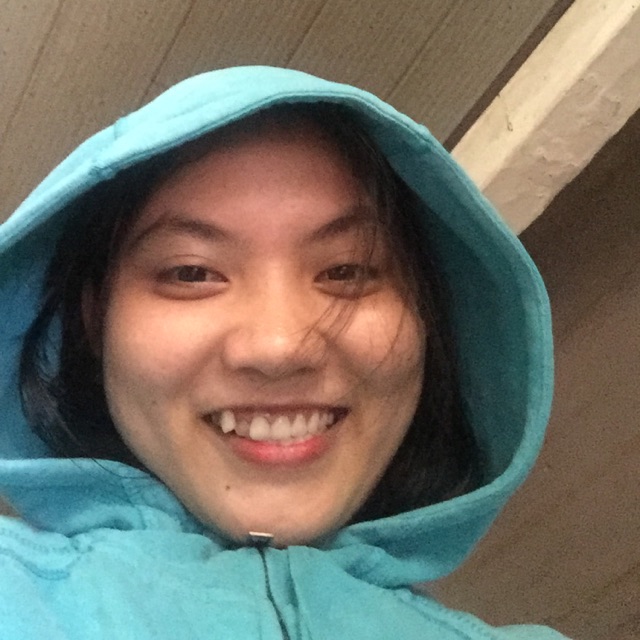 Vy Túi