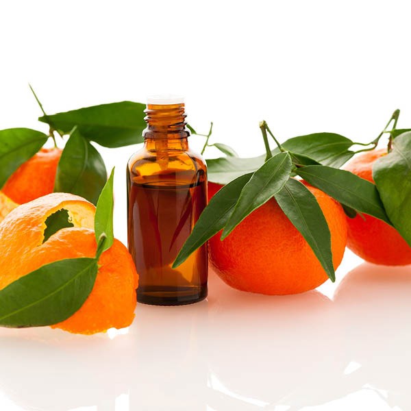 Tinh Dầu Vỏ Quýt Thiên Nhiên ngừa mụn, giảm đau, thư giãn Mandarin Essential Oil AloAroma