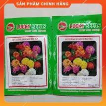 HẠT GIỐNG HOA NGŨ SẮC NHIỀU MÀU GÓI 30 HẠT