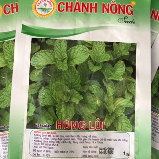 Hạt giống rau Húng lũi - gói 1gram