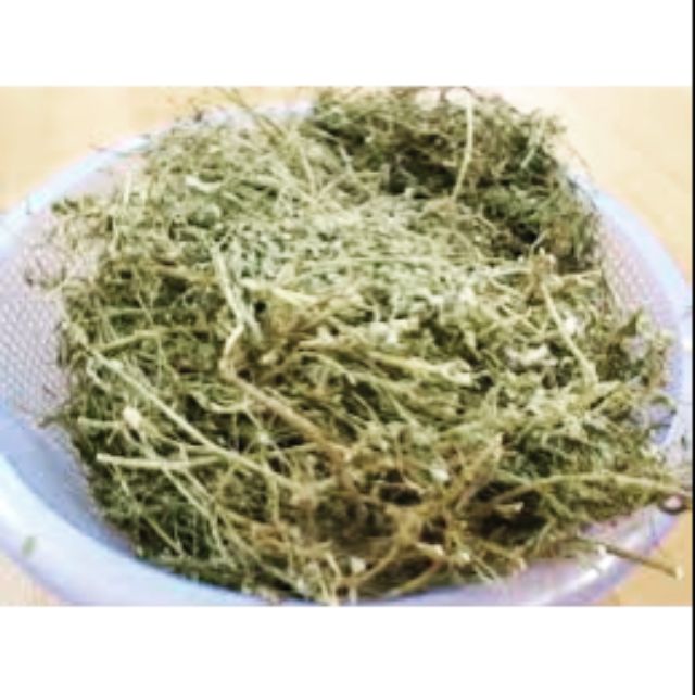 Cây răng cưa khô 1kg