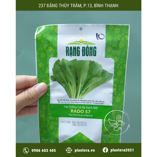 Hạt giống cải bẹ xanh mỡ rado 57 20g - hạt giống - rau ăn lá