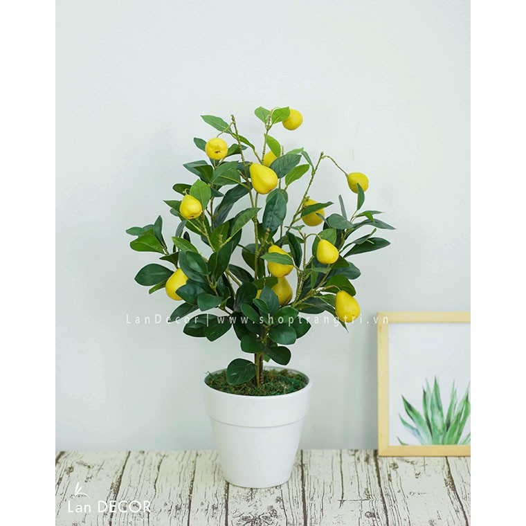 Cây giả - Cây chanh mỹ, đào, lê vàng, lê má hồng để bàn, trang trí tự nhiên như thật LanDecor | BigBuy360 - bigbuy360.vn