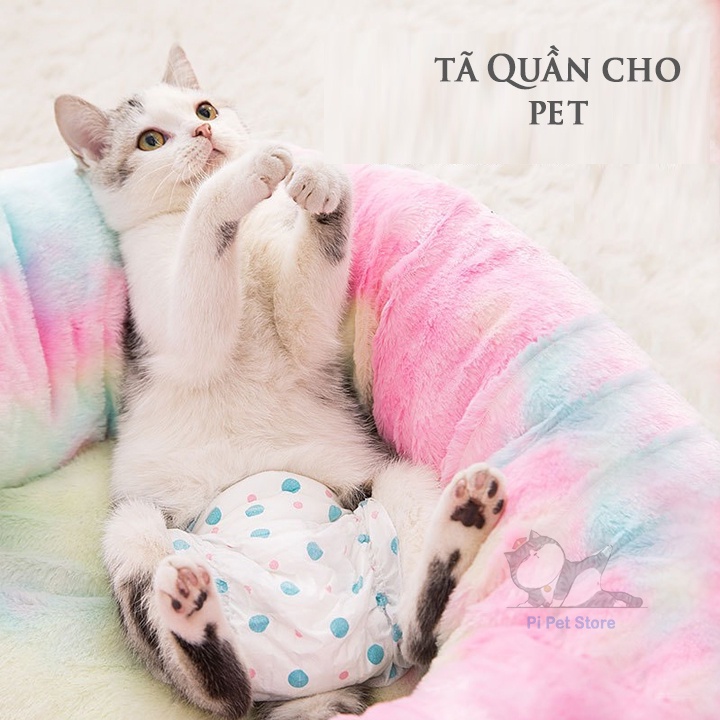 Bỉm Chó Cái - Bỉm Cho Chó, Mèo Siêu Nhẹ - Sản Xuất Công Nghệ Nhật Bản