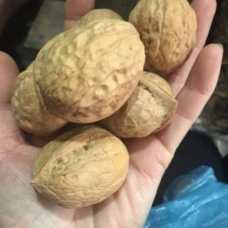 Óc chó 1kg