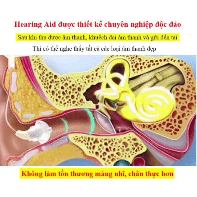 Máy trợ thính có chống nước Hearing Aid USA Powertone F138