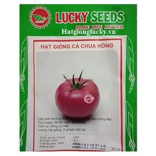 [HOT] Hạt giống cà chua Hồng ( 30 hạt)