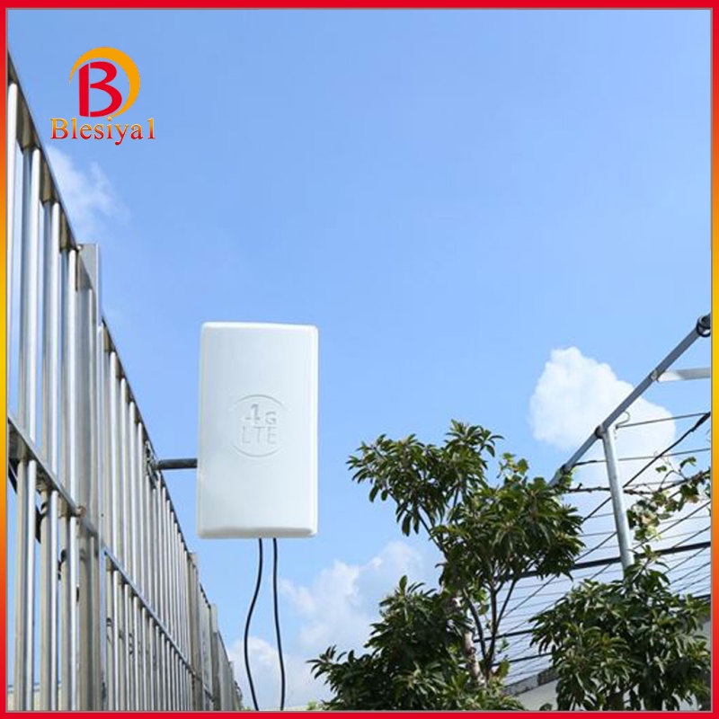 Ăng Ten Tăng Cường Tín Hiệu Ngoài Trời Blesiya1 4g Lte Sma N | BigBuy360 - bigbuy360.vn