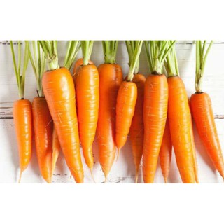 Hạt giống Cà rốt gói 5gr❤️FREESHIP XTRA❤️