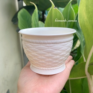 Chậu nhựa trồng sen đá vành đan mây đk 10cm