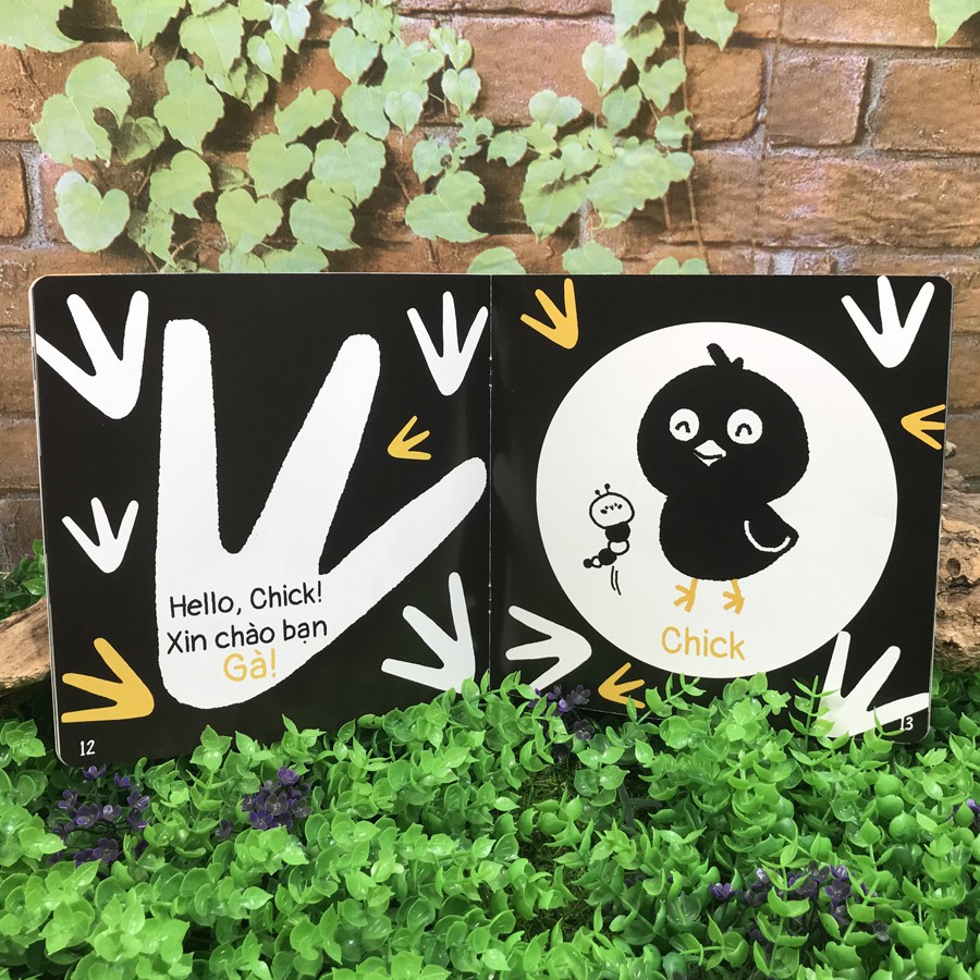 Sách Ehon - Song Ngữ Kích Thích Thị Giác Cho Bé 0-3 tuổi