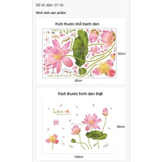 Decal tranh dán tường hoa sen nở rộ