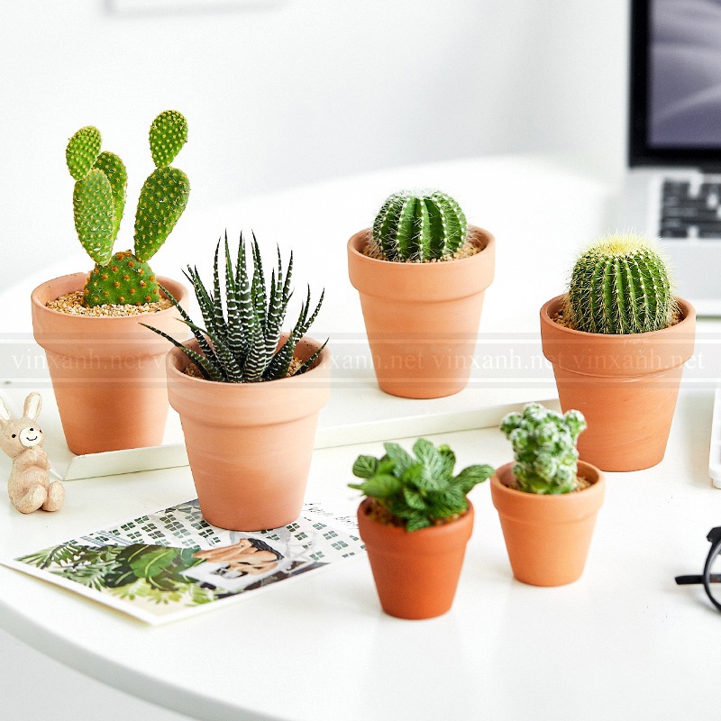 Chậu đất nung màu nâu đất trồng cây 15cm