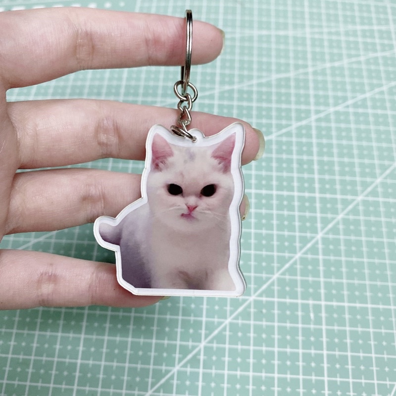 Móc khóa mica in hình mèo meme cute, giận dữ, đáng yêu, bựa