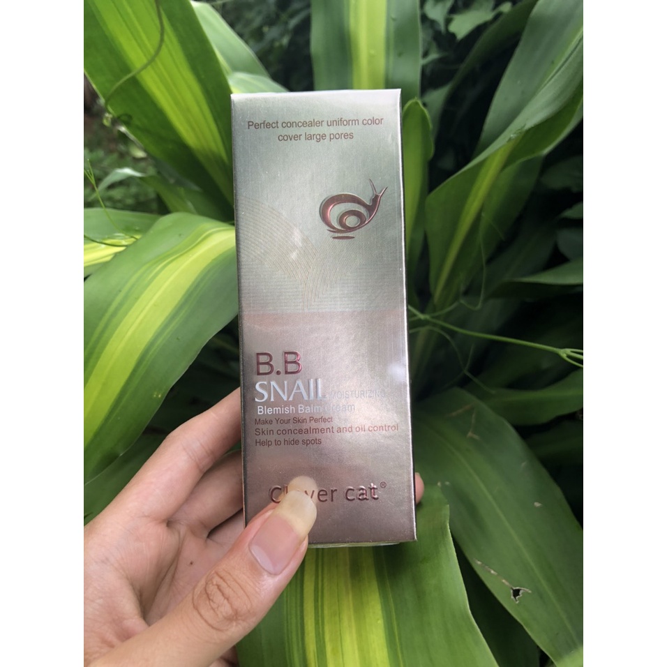 Kem nền bb agc