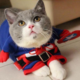 Áo chó mèo cosplay Captain A54