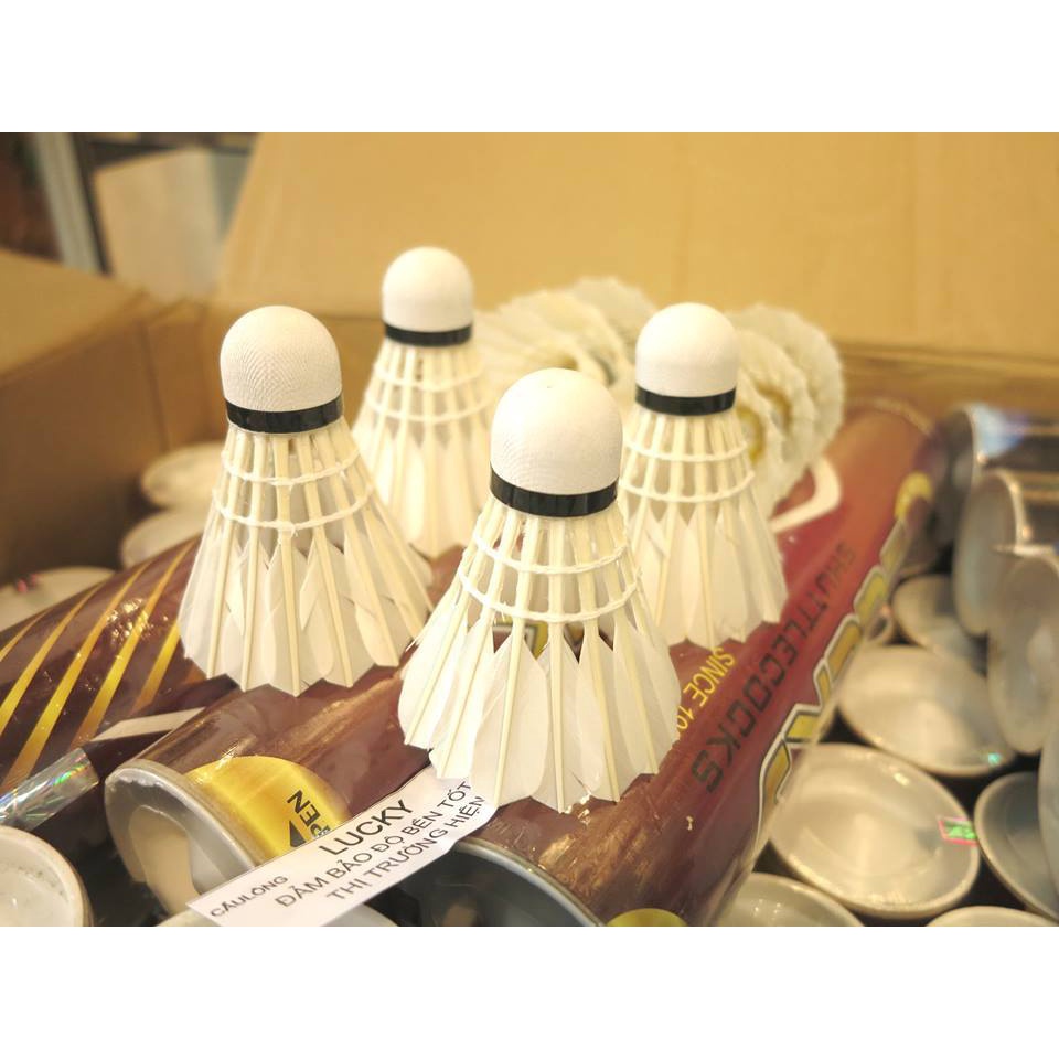 BAO VỢT CẦU LÔNG