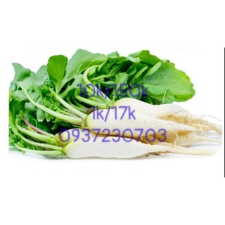 1kg củ cải trắng