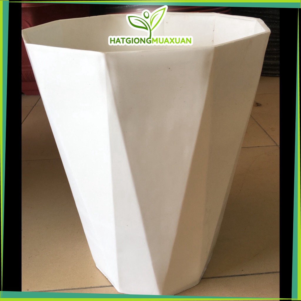 combo 4 chậu kim cương đại kích thước 30x40cm