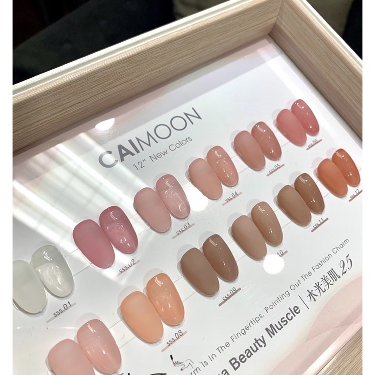 Set Sơn gel Thạch anh