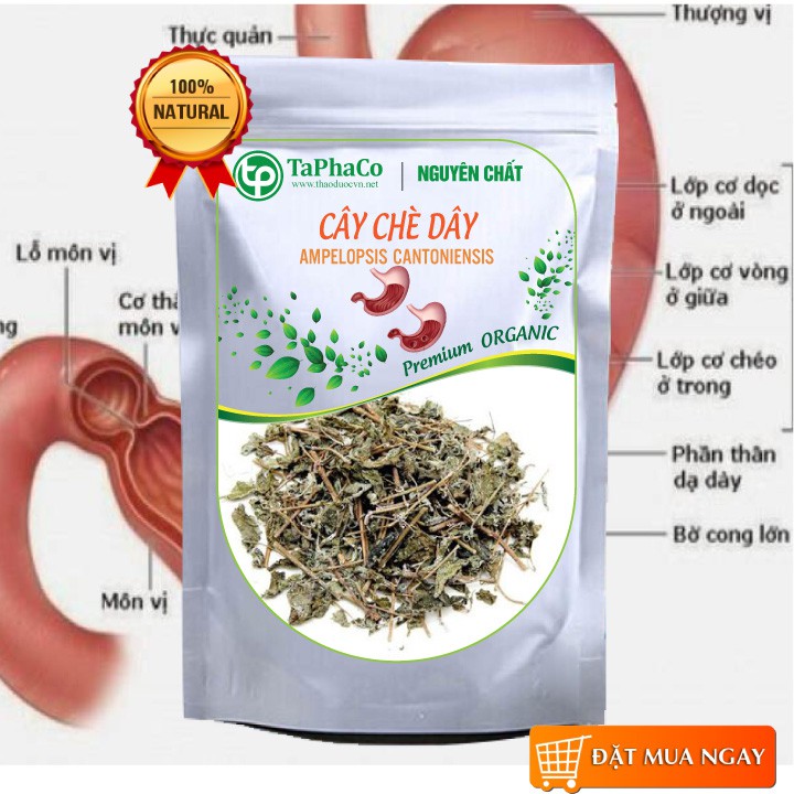 - Chè dây Cao Bằng khô