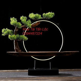 Kệ đèn tròn và cây hay kệ gỗ đèn led và cây tùng không tượng