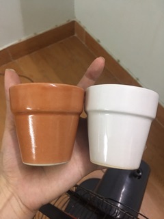 Chậu sứ mini