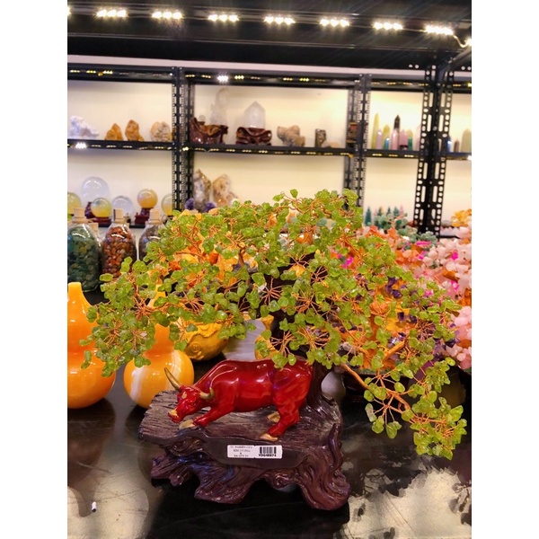 Cây Tài Lộc Peridot Màu Xanh