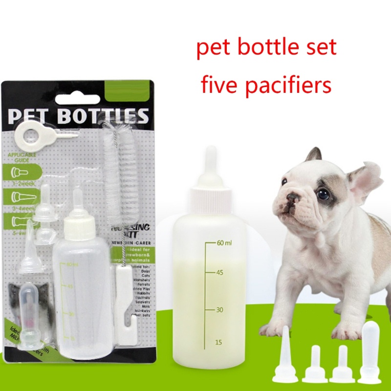 Bộ Bình Uống Nước Cho Thú Cưng Sơ Sinh