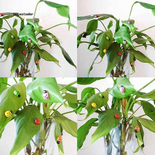 Bộ 100 bọ cánh cứng mini xinh xắn dùng để trang trí