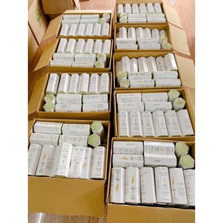 Sỉ 10 chai CAO ĐỐT MỠ LÁ RỪNG DR CELL