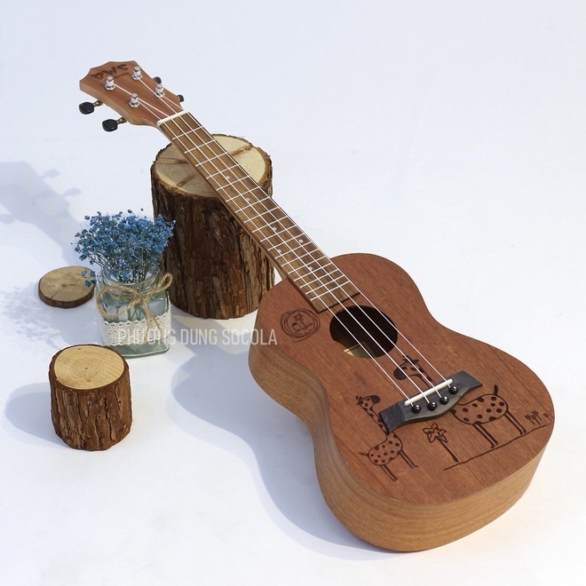 Đàn Ukulele Gỗ chính hãng BWS size Concert - HUƠU CAO CỔ