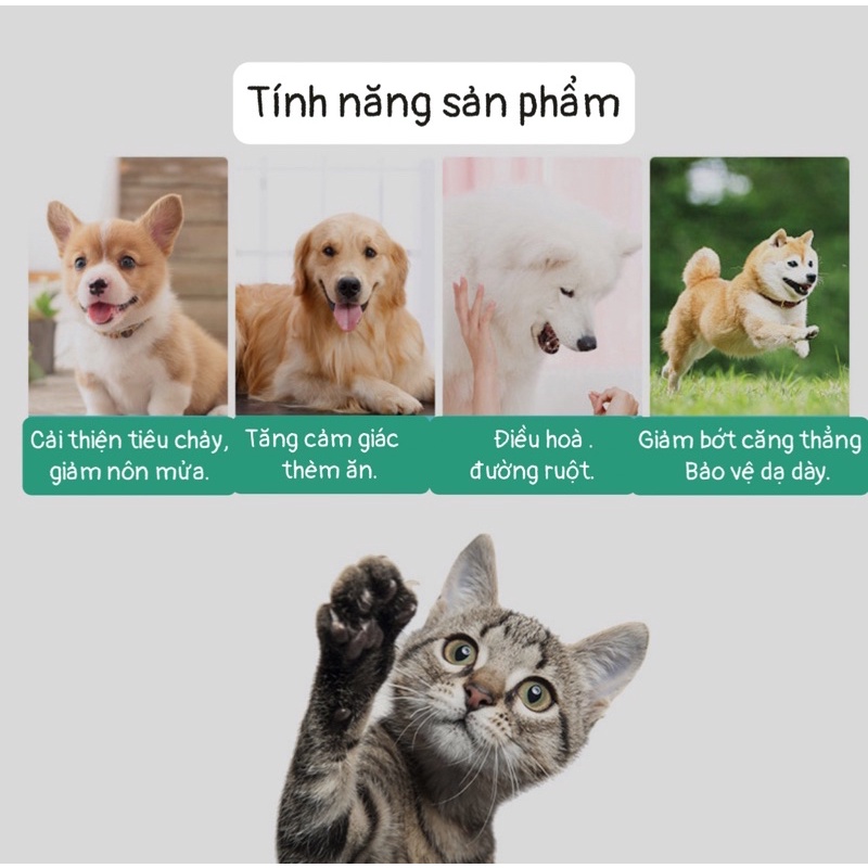 Men vi sinh, tiêu hóa cho chó mèo Borammy Probiotics phòng ngừa, hỗ trợ đường ruột- gói 5g