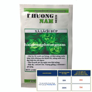 2GR - HẠT GIỐNG XÀ LÁCH BÚP MỠ (ĐĂM)