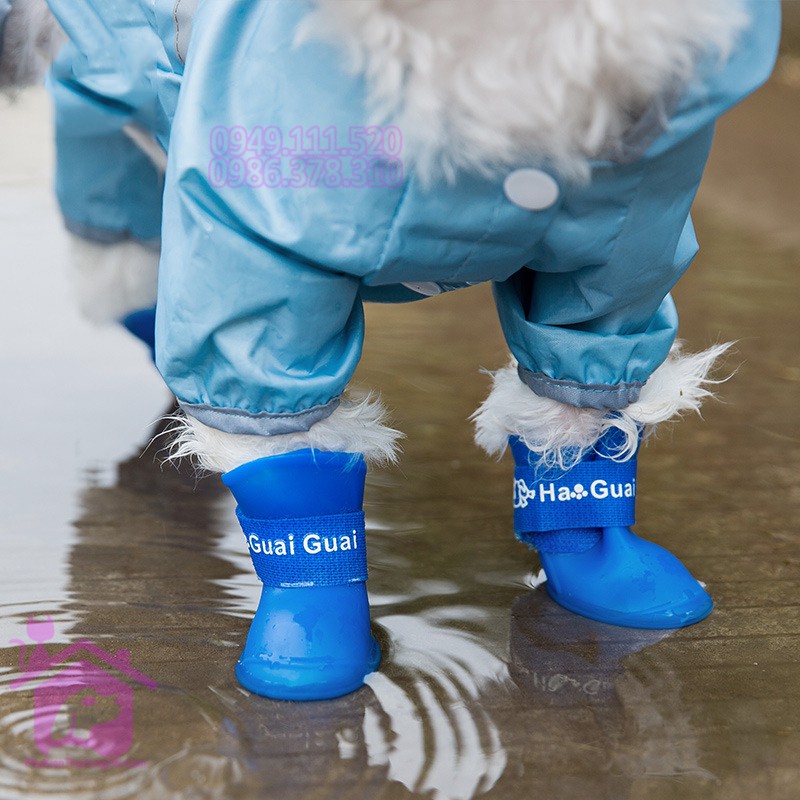 Giày cao su cho chó mèo đi mưa bộ 4 chân - Phụ kiện chó mèo Hà Nội