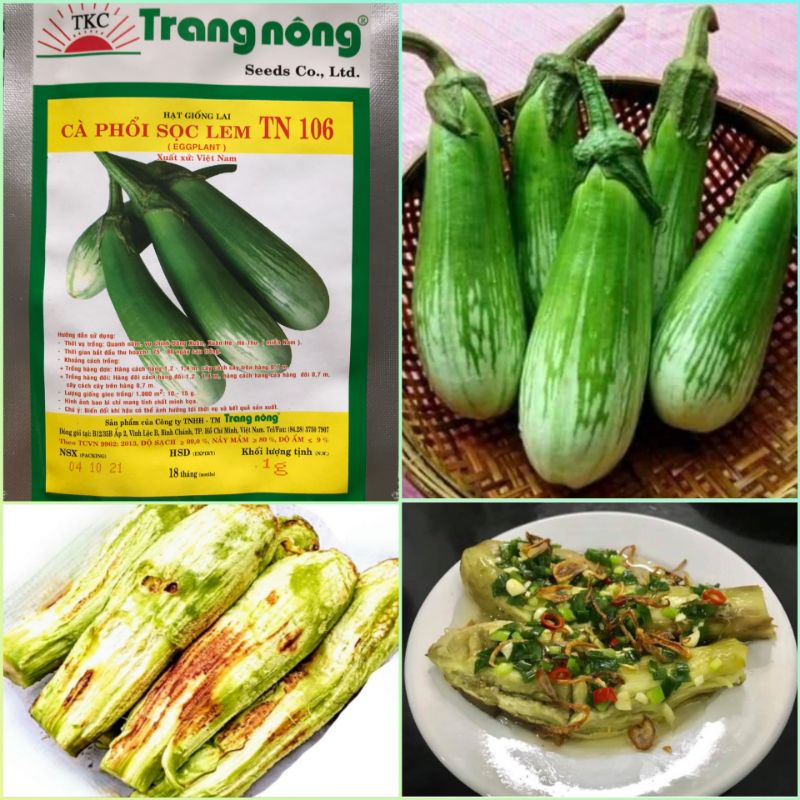 Hạt giống cà phổi xanh sọc lem sai trái, dễ chăm gói 200 hạt
