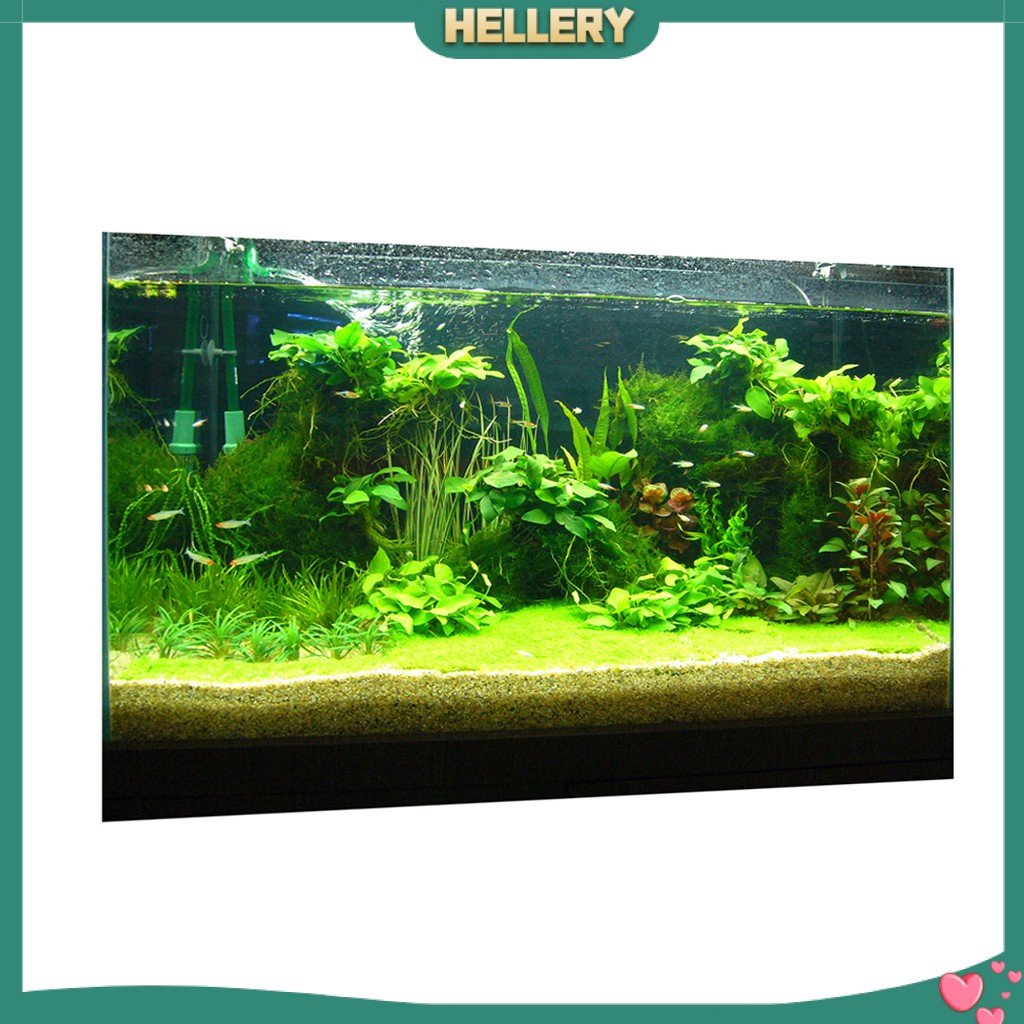 Giấy Dán Tường 3D Độ Nét Cao Trang Trí Bể Cá