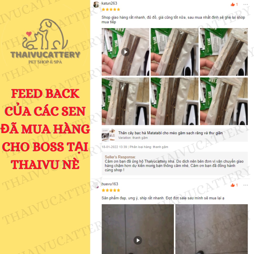 Thân cây bạc hà Matatabi cho mèo gặm sạch răng và thư giãn