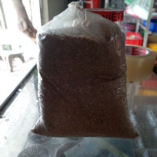 Hạt kê vàng, kê bóng cho chim