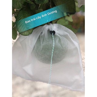 1000 túi bọc ổi kích thước 18x20