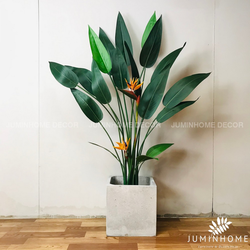 Chậu gốm , chậu xi măng, kệ gỗ để chậu cây Decor trang trí trồng Cây giả
