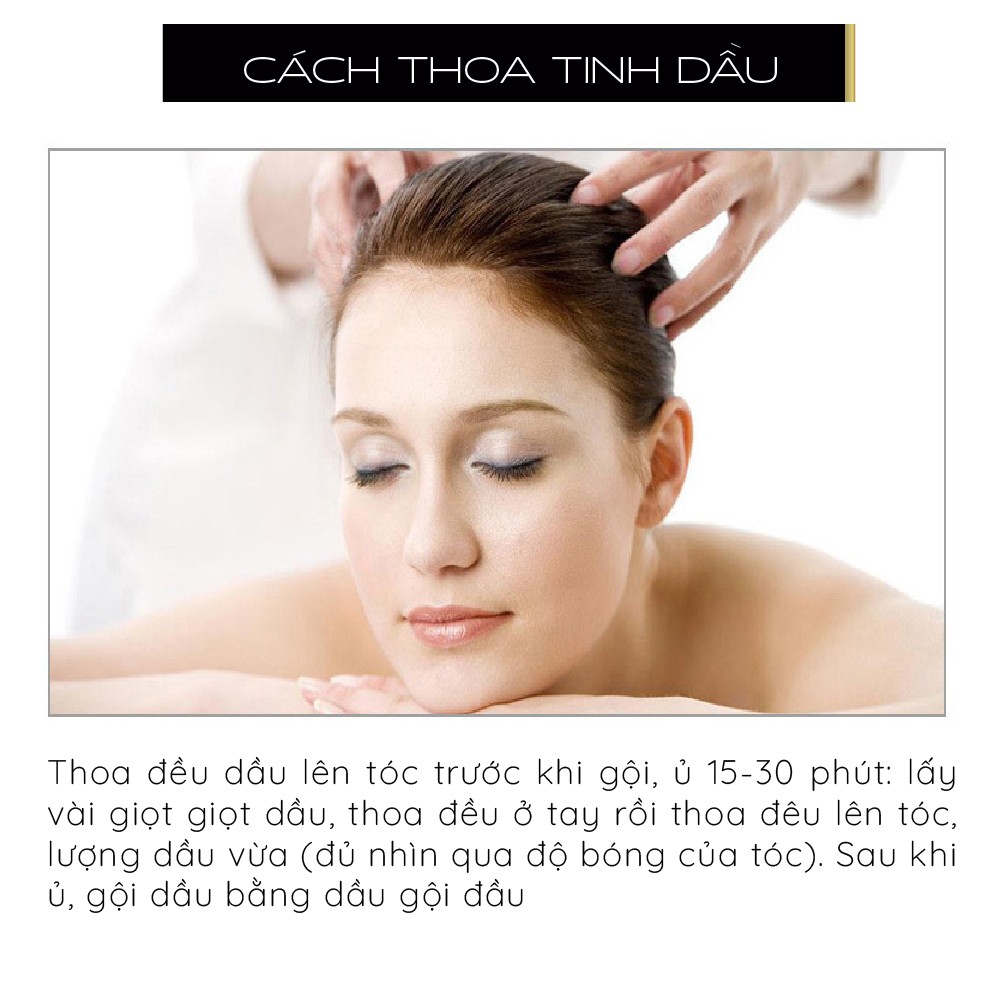 Tinh dầu bơ + hạnh đào chăm sóc tóc đã kiểm nghiệm | BigBuy360 - bigbuy360.vn