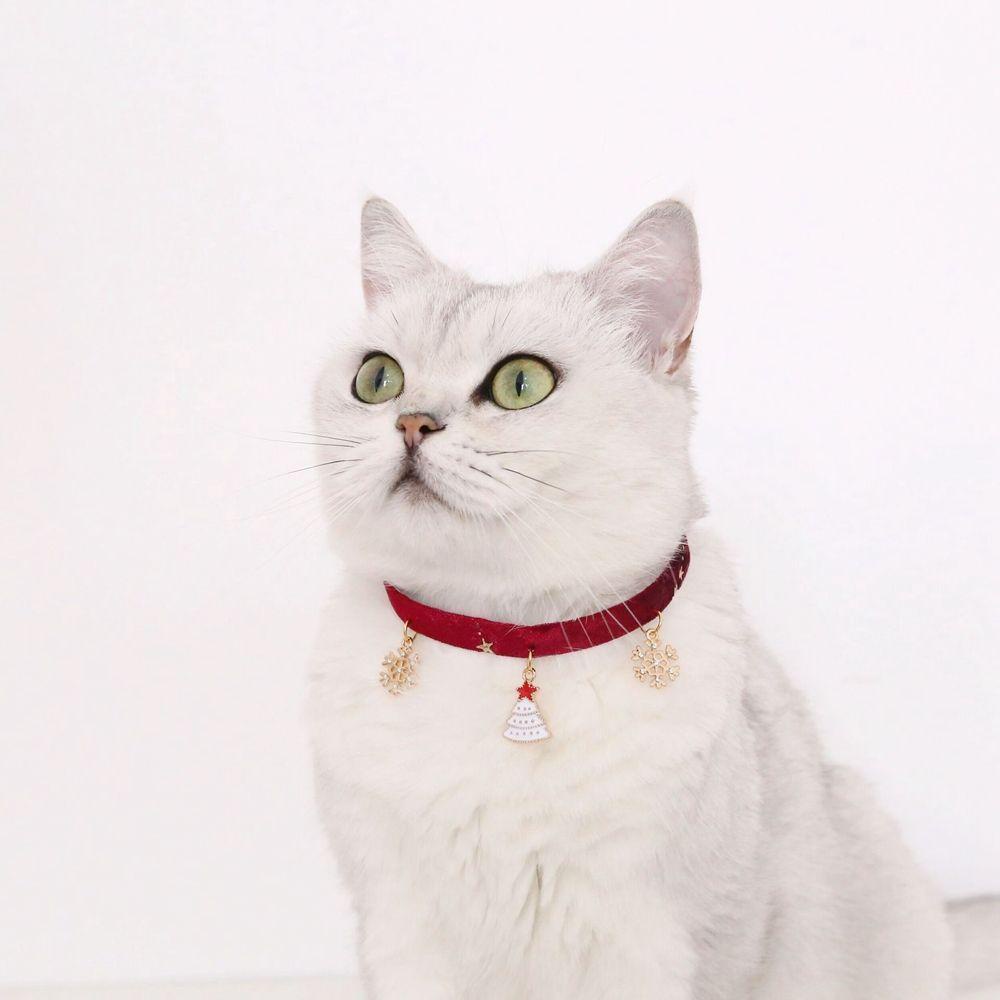 [COD] Vòng Đeo Cổ Hình Trăng Sao / Bông Tuyết / Sao Nhiều Màu Tùy Chỉnh Thời Trang Cho Thú Cưng