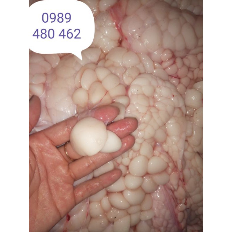 0.5 ký mỡ trăn tươi nguyên chất | BigBuy360 - bigbuy360.vn