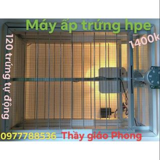 Máy ấp trứng hpe - tự động 120 trứng